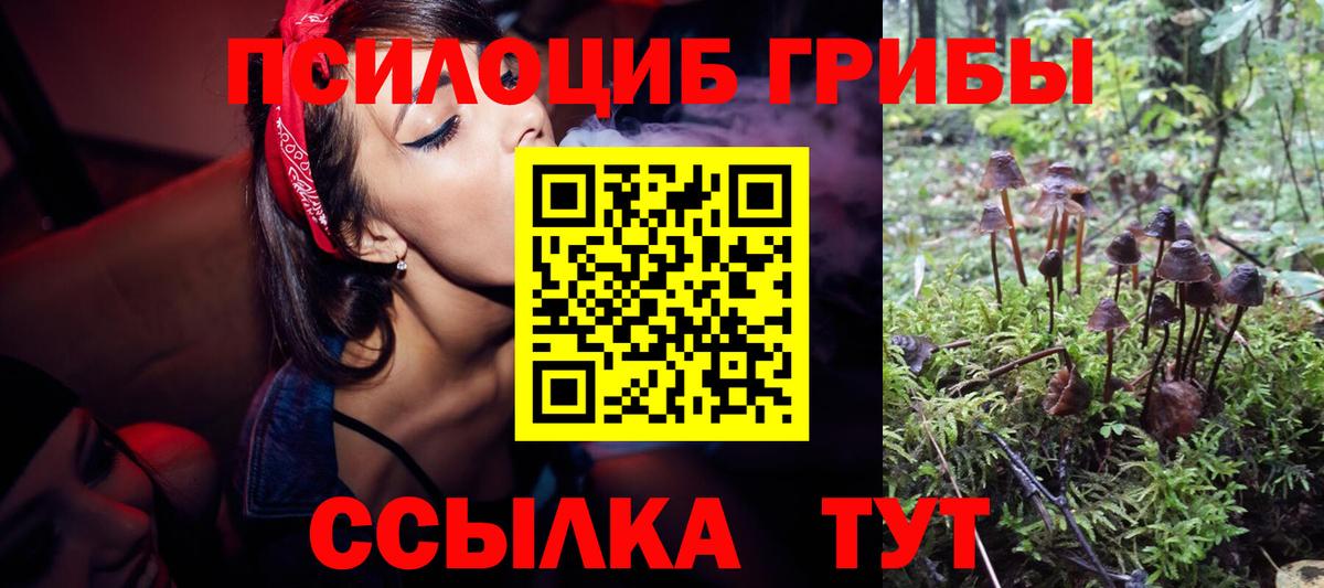 Псилоцибиновые грибы прущие грибы Омск