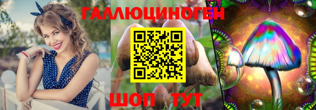 купить наркотики цена  Вход с VPN  Галлюциногенные грибы Psilocybe  Омск  Псилоцибиновые грибы Psilocybe 